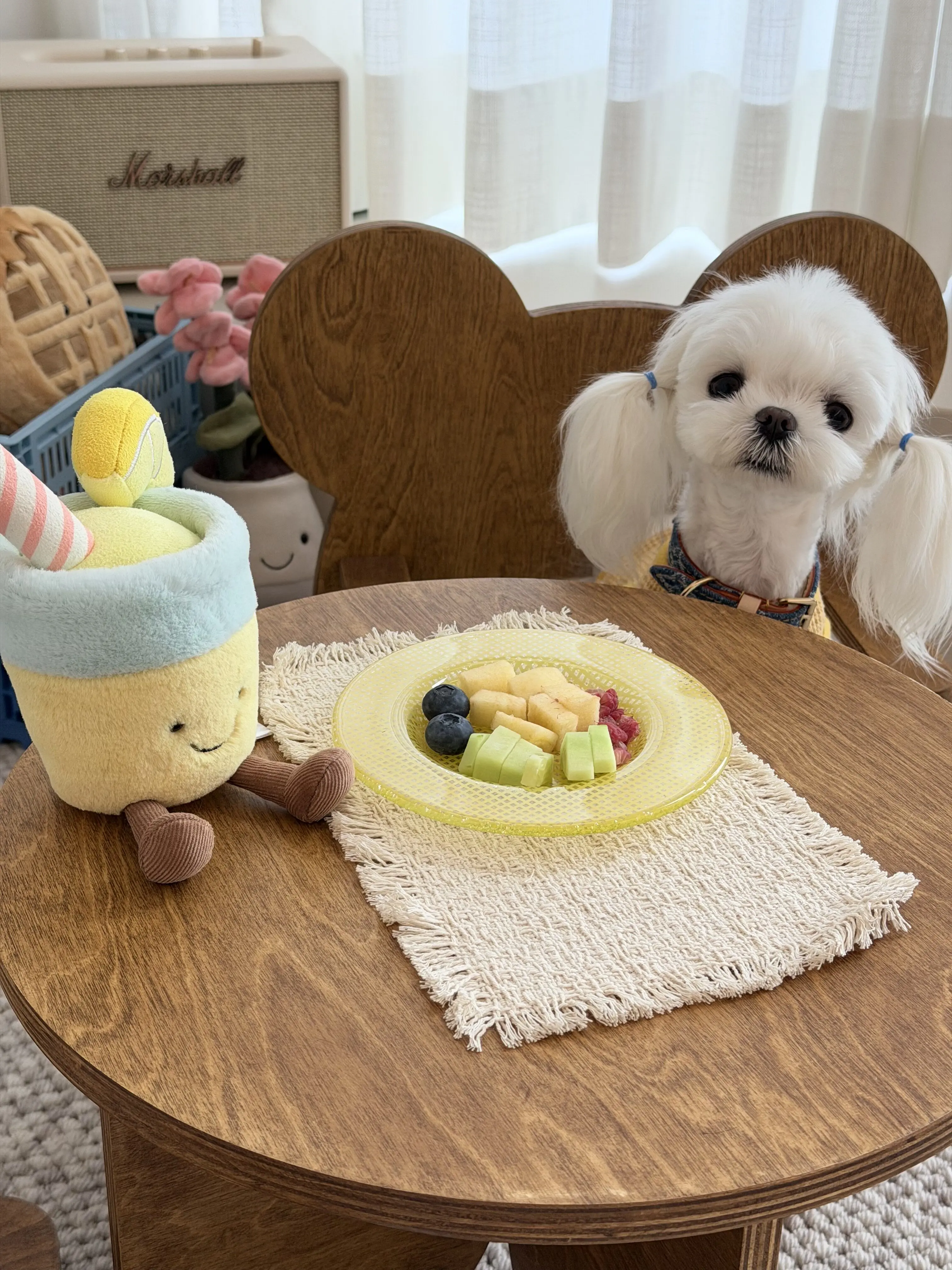 wooden pet furniture decoration in a customer's home - Vintage Round Pet Side Table and Mini Chair Set